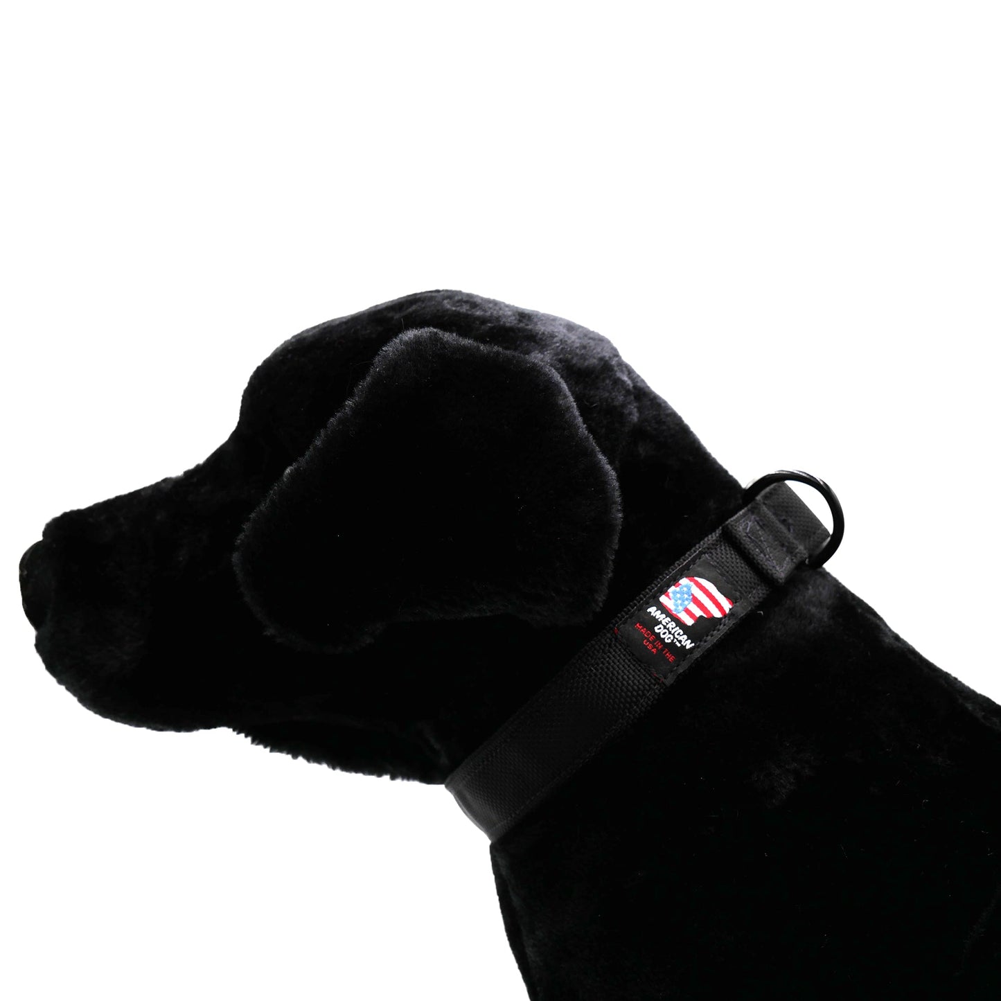 Collars. Ballistic Solids & Print Designs