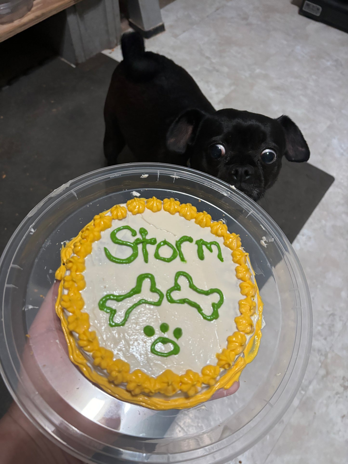 Dog Cake
