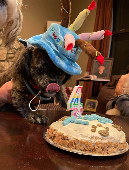 Dog Cake