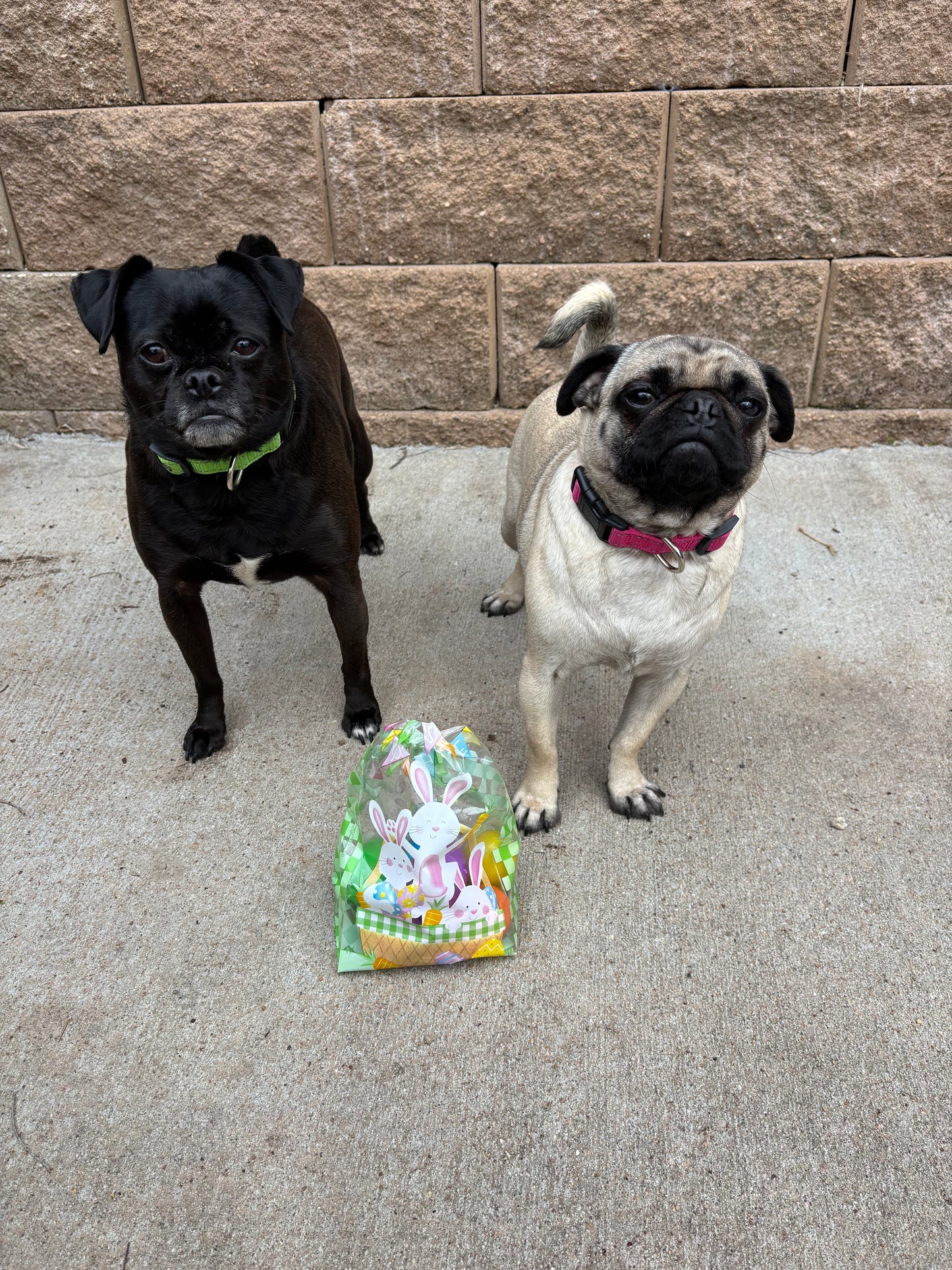 Easter Eggs - 5